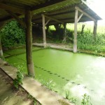 la restauration du lavoir, c’est parti……