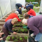 Confection des jardinières : merci aux bénévoles