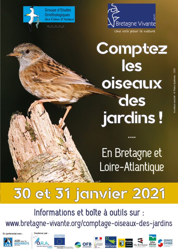 13ème comptage des oiseaux des jardins en Côtes d’Armor: les 30 & 31 janvier 2021