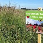 Campagne de fauchage des bords de routes départementales
