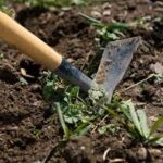 Après-midi binette du 16 mai : appel aux bénévoles