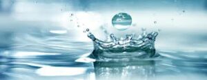 Analyses d’eau : résultats du 23 août 2023